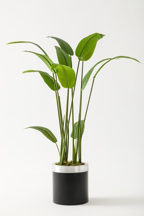 Yapay Starliçe Ağacı 120 Cm Siyah Gümüş Saksı