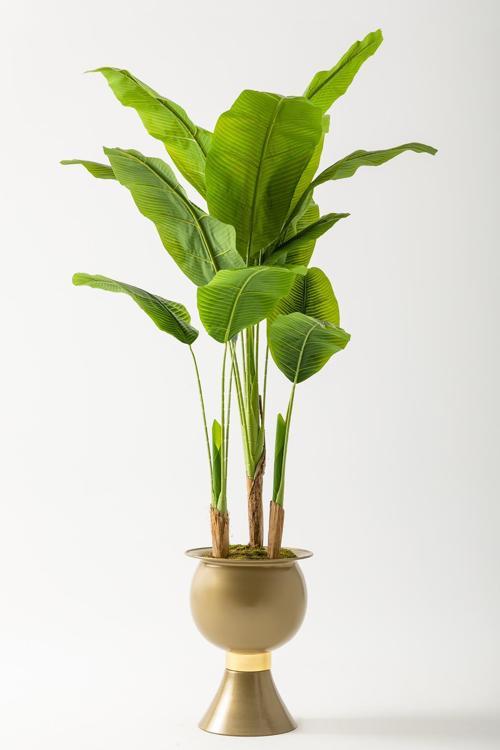 Yapay Muz Ağacı 200 Cm 17 Yaprak Gold Balon Saksı