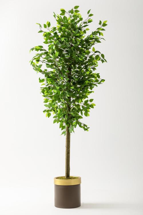Yapay Benjamin Ağacı 180 Cm Kahverengi Gold Metal Saksı