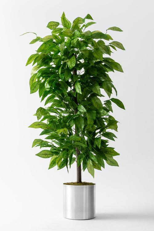 Yapay Ceviz Ağacı 200 Cm