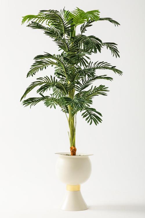 Yapay Ağaç Areka 180 Cm 32 Yaprak Krem Balon Saksı