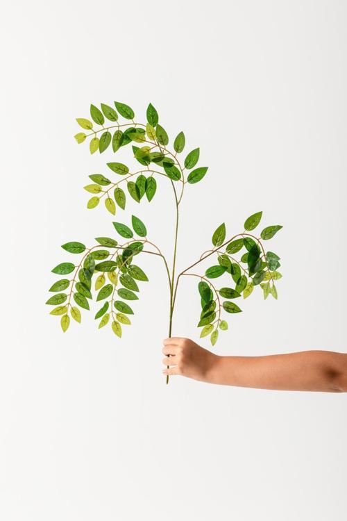 Yapay Okaliptus Dalı 12li