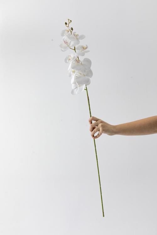Yapay Islak Orkide Çiçeği Beyaz Tek Da