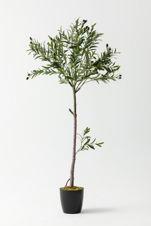 Yapay Zeytin Ağacı 160 cm Tek Gövdeli Doğal Gerçek Görünümlü Yapay Ağaç