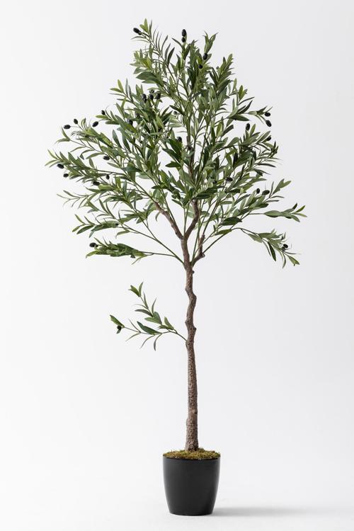Yapay Zeytin Ağacı 175 cm Tek Gövdeli Doğal Gerçek Görünümlü Yapay Ağaç