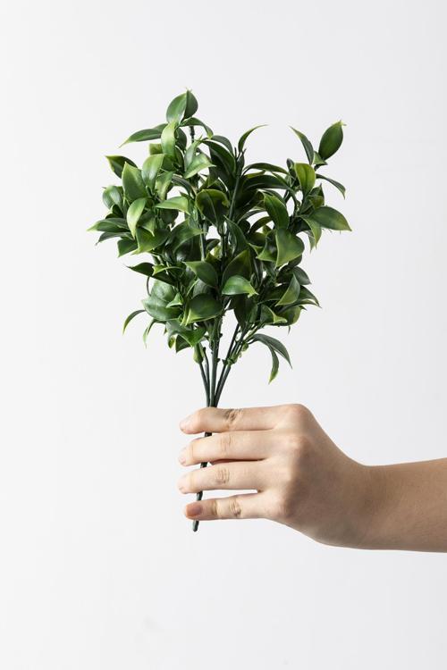 Yapay Limon Yaprağı Demeti Yeşil 30 Cm 7 Dal(Uv)