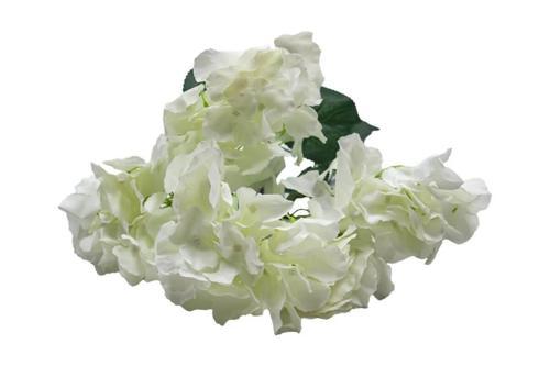 Yapay Ortanca Çiçeği Beyaz 45 Cm