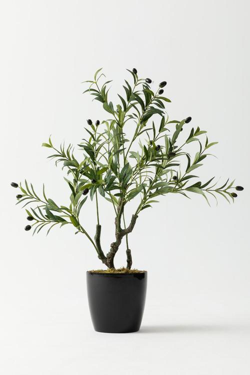Yapay Zeytin Ağacı 85 cm  Tek Gövdeli  Doğal Gerçek Görünümlü Yapay Ağaç