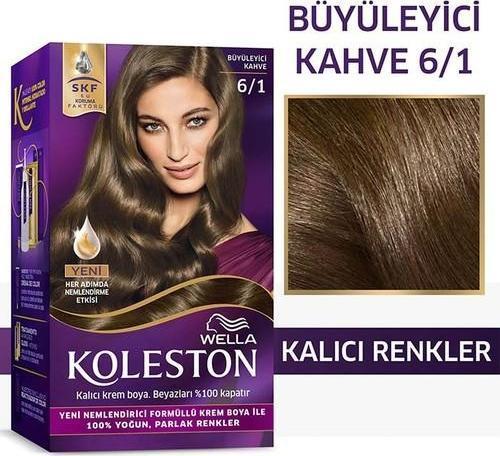 Kit Saç Boyası 6/1 Koyu Küllü Kumral