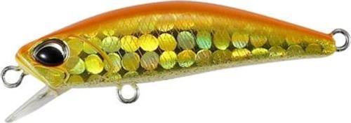 Tetra Works Toto 42 AQA0314 Orange Gold Belly