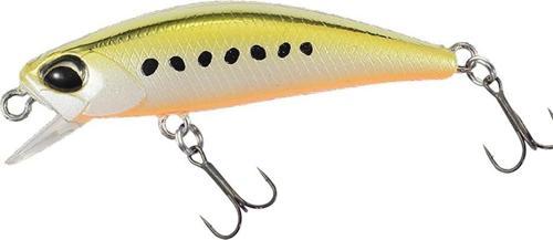 Tetra Works Toto 42 AST0333 Gold Sardine