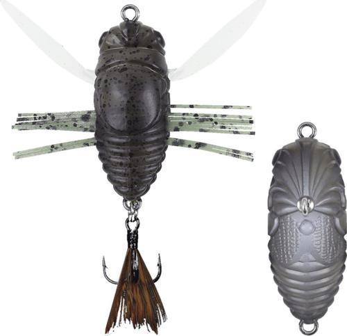 Realis Shinmushi CCC3209