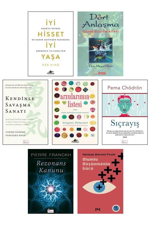 Destek Yayınları İyi Hisset İyi Yaşa Vex King Dört Anlaşma Toltek Bilgelik Kitabı Olumlu Düşünmenin Gücü 7Li Set