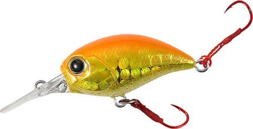 Tetra Works KuraKura AQA0314 Orange Gold Belly
