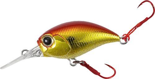 Tetra Works KuraKura ASA0328 Red Gold Belly