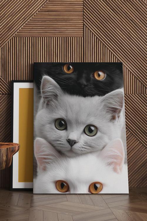 3 Kedi Kanvas Tablo