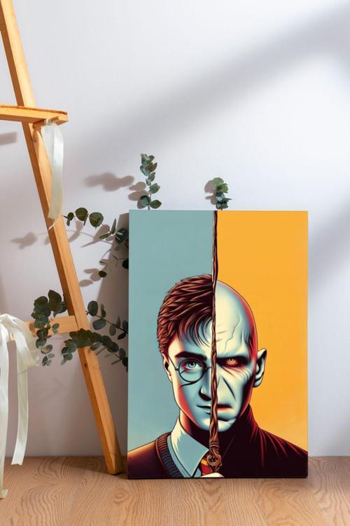 Harry Potter ve Voldemort Kanvas Tablo