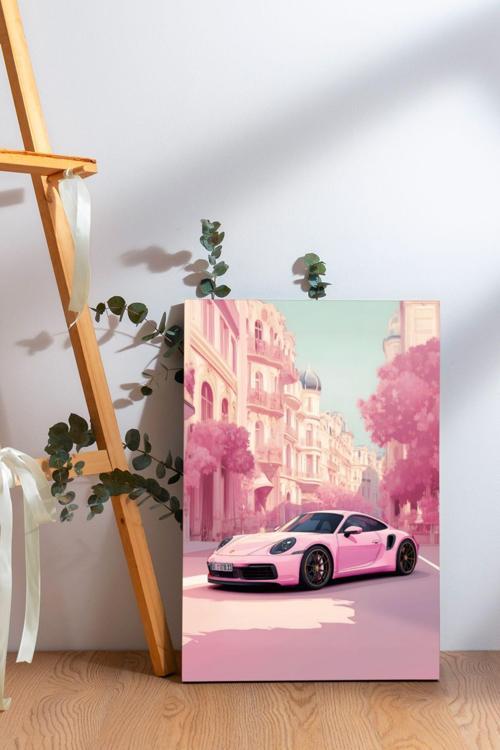 Pembe Porche Kanvas Tablo