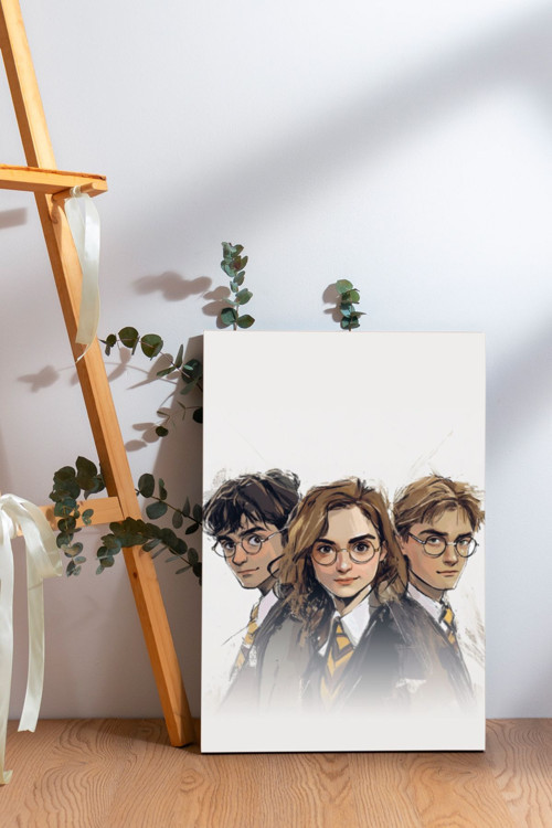 Harry Potter Kanvas Tablo