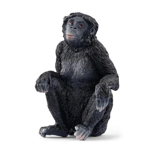 Bonobo 17088