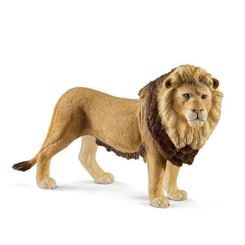 Erkek Aslan 17107