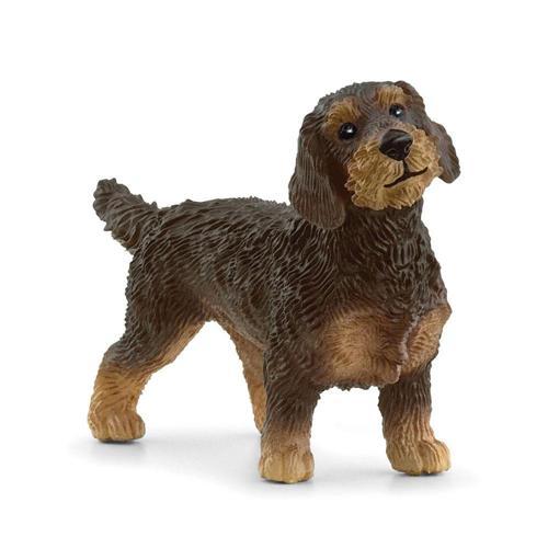 Tel Tüylü Dachshund 13972