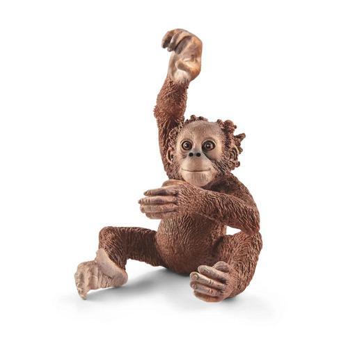 Yavru Orangutan 17102