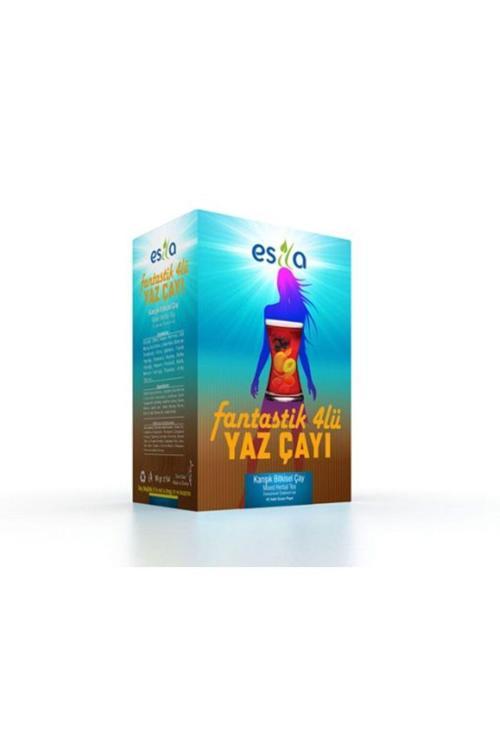 Fantastik Dörtlü (Yaz Çayı) Karışık Bitkisel Çay