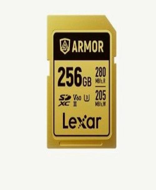 256 Gb ARMOR GOLD SDXC™ UHS-II Kartı