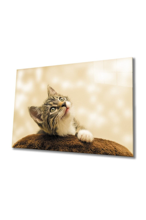 Kedi 3 Cam Tablo