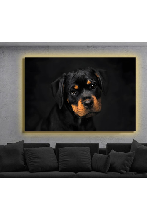 Led Işıklı Kanvas Tablo, 3D Dekoratif Baskılı Tablo Yapay Zeka Destekli Modern Tasarımlar 343