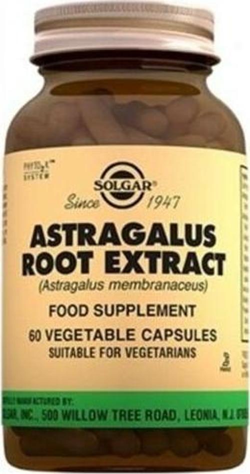 Astragalus Root Extract 60 Kapsül