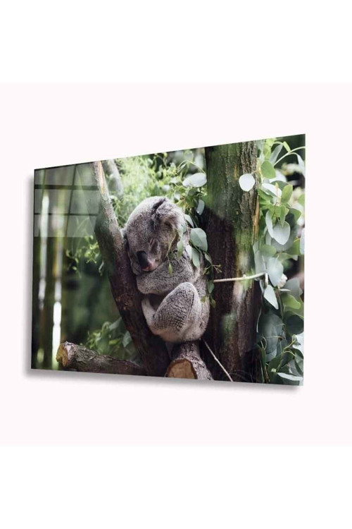 Koala Cam Tablo 4Mm Dayanıklı Temperli Cam