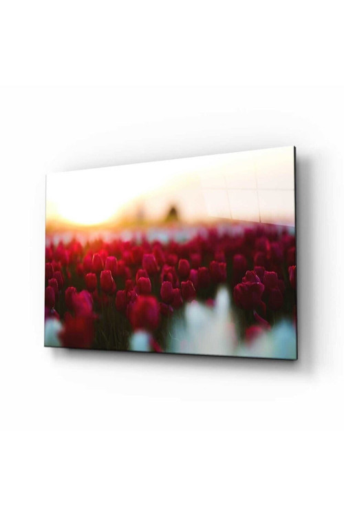 Doğa Manzara Cam Tablo 4Mm Dayanıklı Temperli Cam