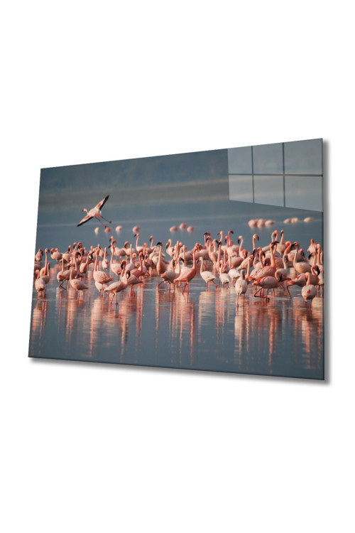 Flamingo Cam Tablo