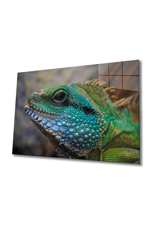 İguana Cam Tablo