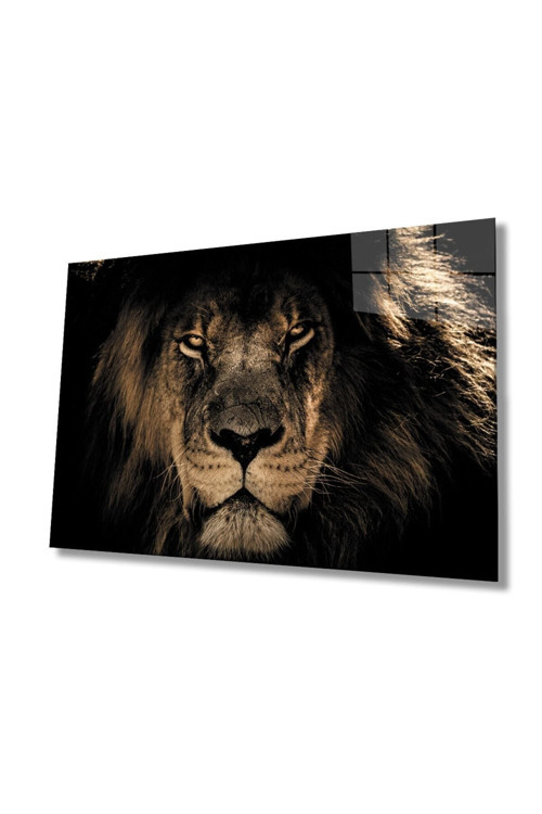 Aslan Cam Tablo