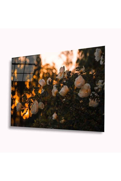 Çiçek Cam Tablo 4Mm Dayanıklı Temperli Cam