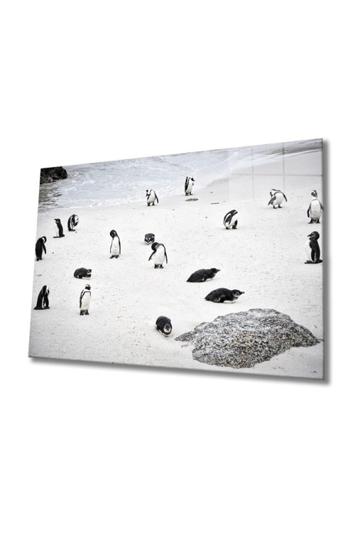 Penguen Cam Tablo