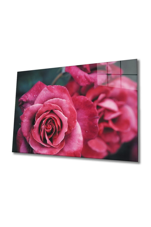 Rose 1 Cam Tablo