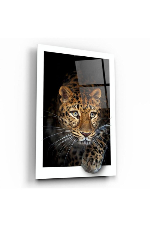 Leopar Cam Tablo | Hediyelik, Dekoratif, Ofis, Mutfak
