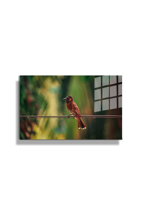 Eğlenceli Hayvanlar, Yapay Zeka Destekli, 3D Dekoratif Baskı Yatay Cam Tablo 264