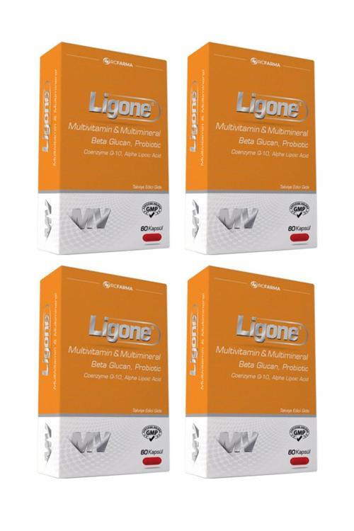 Multivitamin Multimineral Beta Glucan Probiotic 60 Kapsül 4 Kutu