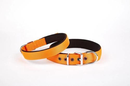 Softlu Köpek Boyun Tasması 3 cm x 55 cm Turuncu