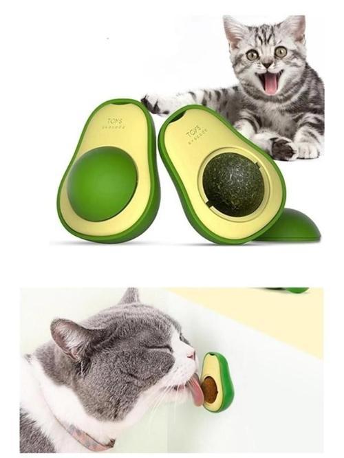 Büro Ev Evcil Hayvanı için Avakado Kedi Nanesi Oyun Topu
