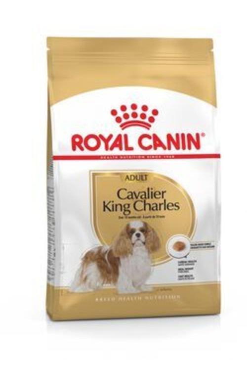 Cavalier King Charles 27 Yetişkin Köpek Maması 3 kg