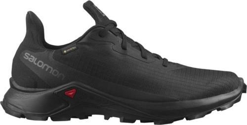 Alphacross 3 Gore-tex Erkek Koşu Ayakkabısı