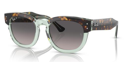 RB0298S 1376M3 53 Polarize Unisex Güneş Gözlüğü