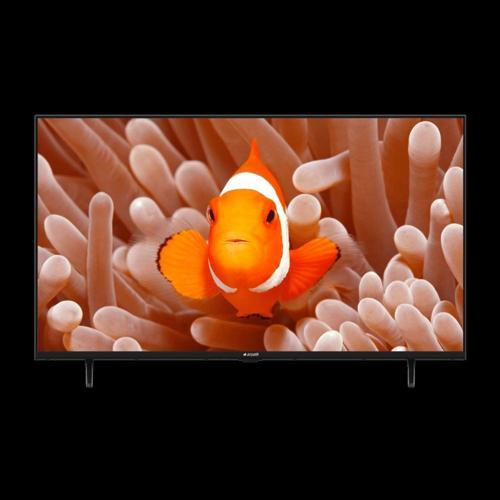 A43 D 695 B/ 43" Televizyon