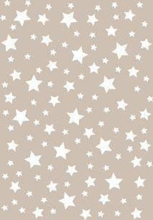 A4 SERİSİ STENCIL AS401 21X29